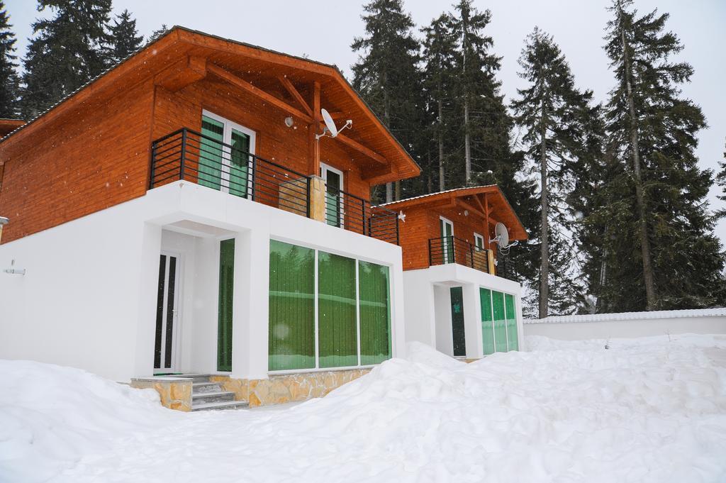 Chalet Kokhta Bakuriani Esterno foto