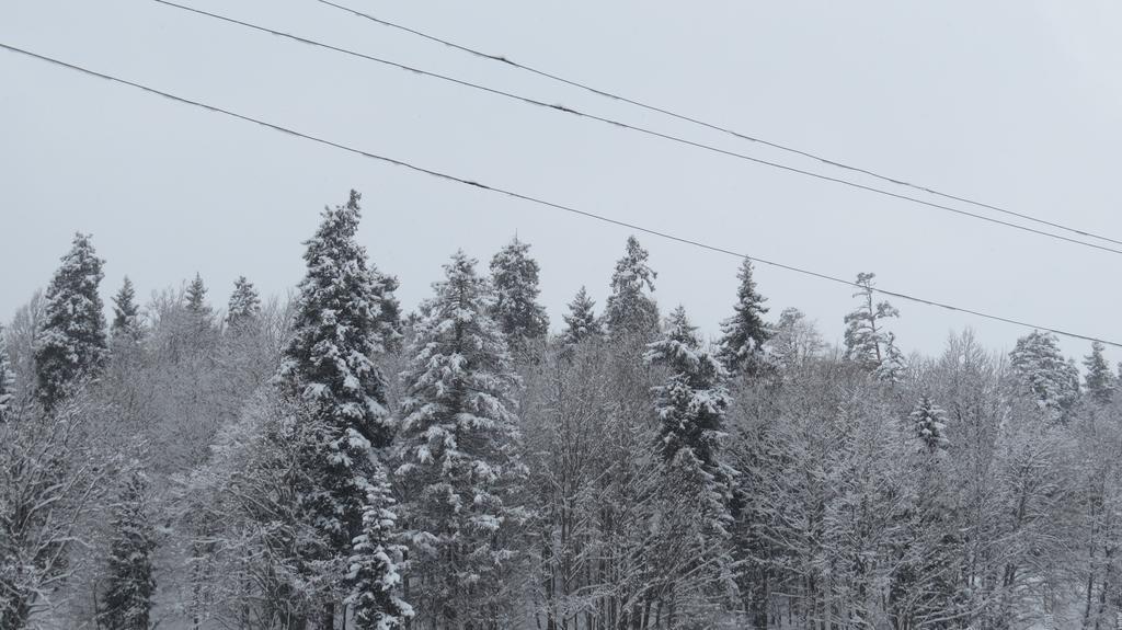 Chalet Kokhta Bakuriani Esterno foto